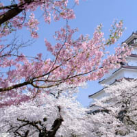 鶴ヶ城の写真