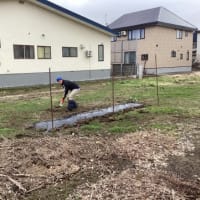 2024年度みんなの農園はじまりまーす。
