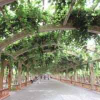 シルクロードの旅～⑨
