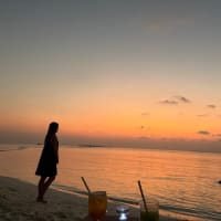 春休み旅行〜モルディブ・ディガリ⑧