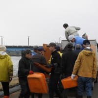 三条市立大学生や市民二人、総勢27人が作業に参加した。