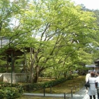06/26奈良京都への旅-14（金閣寺、）