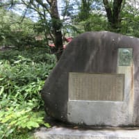 '24年夏山旅は上高地～明神池へ（1）