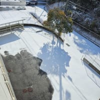本日は通常通りの開校です。