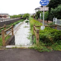 「虹の橋」へと旅立った宗次郎　４