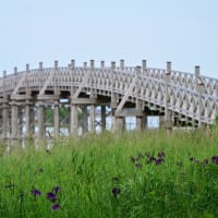 鶴の舞橋