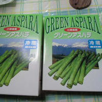 北九州では見れないアスパラ&トラちゃんと大鍋？