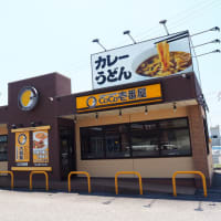 ココイチ香南野市店へ行こう