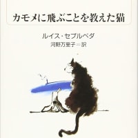 小説『カモメに飛ぶことを教えた猫／ルイス・セプルベダ』