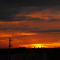 富士山が見える日
