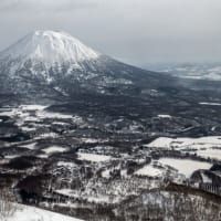 北海道・羊蹄山麓で無許可森林伐採　鈴木知事「悪質性」指摘し法の範囲内で対応強調