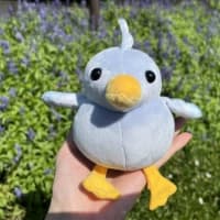 少し風がありました😌
