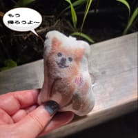 大阪万博行ってきましたの続きの続きです