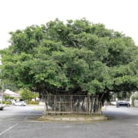 久志公民館の敷地内
