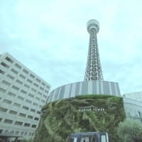 instax palで山下公園を撮影してアートフィルタをかけてみた