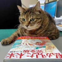 今日もニアピン(;´･ω･)