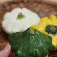 福岡の料理＆お片づけ教室「ベジフルキッチン」より：夏の珍客はまるでＵＦＯ