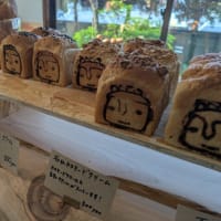 蝙蝠がごみステーションに