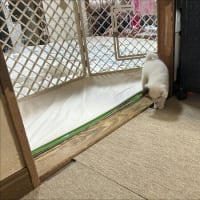 リビング解放