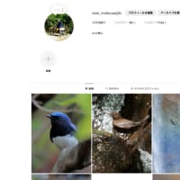 ブログ閉鎖に伴う引っ越しなどのお知らせ