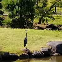 隅田公園