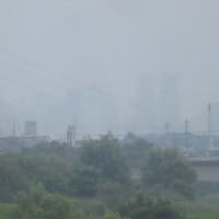 今日も過ごしやすい陽気で通院散歩　