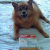 今年もまたこの季節が来たのねぇ♪