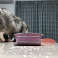 お下手で…