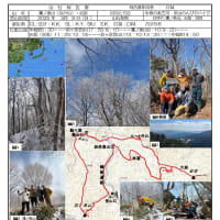 ２０２５年３月９日　鷹ノ巣山（1153ｍ）・岩岳