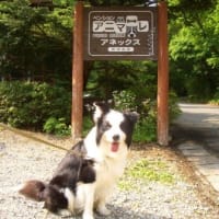 83回目の月命日です