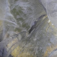 6/5 関東ホーム相模川の自主解禁かなー！？ダム放水未だ有りで水位高めで釣れ無いかなー❕❓