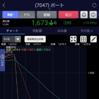ナンピン買い増し