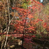 「環境芸術の森」かーらーのー「我楽房」
