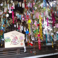東京大神宮 2025/06/30 と 令和七年七月七日