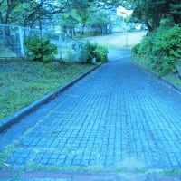絶対に見てはいけない坂