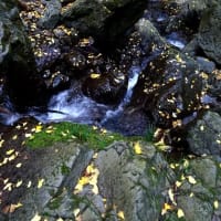 秋深まる紅葉の比地の滝　2019.11.16
