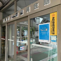 「かわさきちょこ涼（ちょこすず）」はじめました