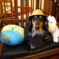【２０２５年７月１３日・ソラ】