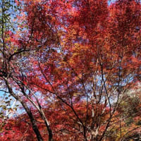 宝塚廃線ハイク