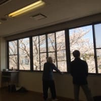 贅沢なお花見