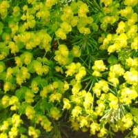5月の振り返り