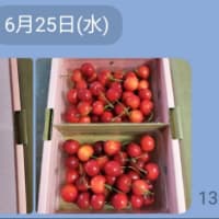 早くも梅雨明け