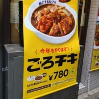 松屋 新宿西口店＠新宿 「ごろごろ煮込みチキンカレー」