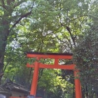 手芸仲間とバスツアー＆ブロ友さんと再会