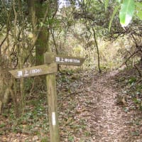 久方の砥上岳登山