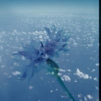 カメ漫だらだら石ちゃん散歩　気持ちのいいほど空と雲が美しい。