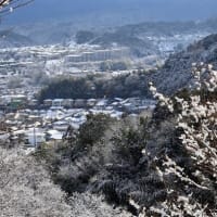 大雪警報～～