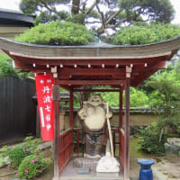 　丹波七福神巡り3完（養仙寺　神応寺）　黒猫顔のアップ