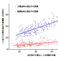 父親が高齢で生まれた子供には遺伝子の変異が多い