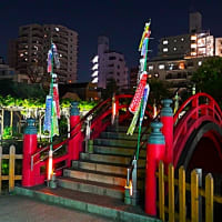 『亀戸天神 藤 ライトアップ』